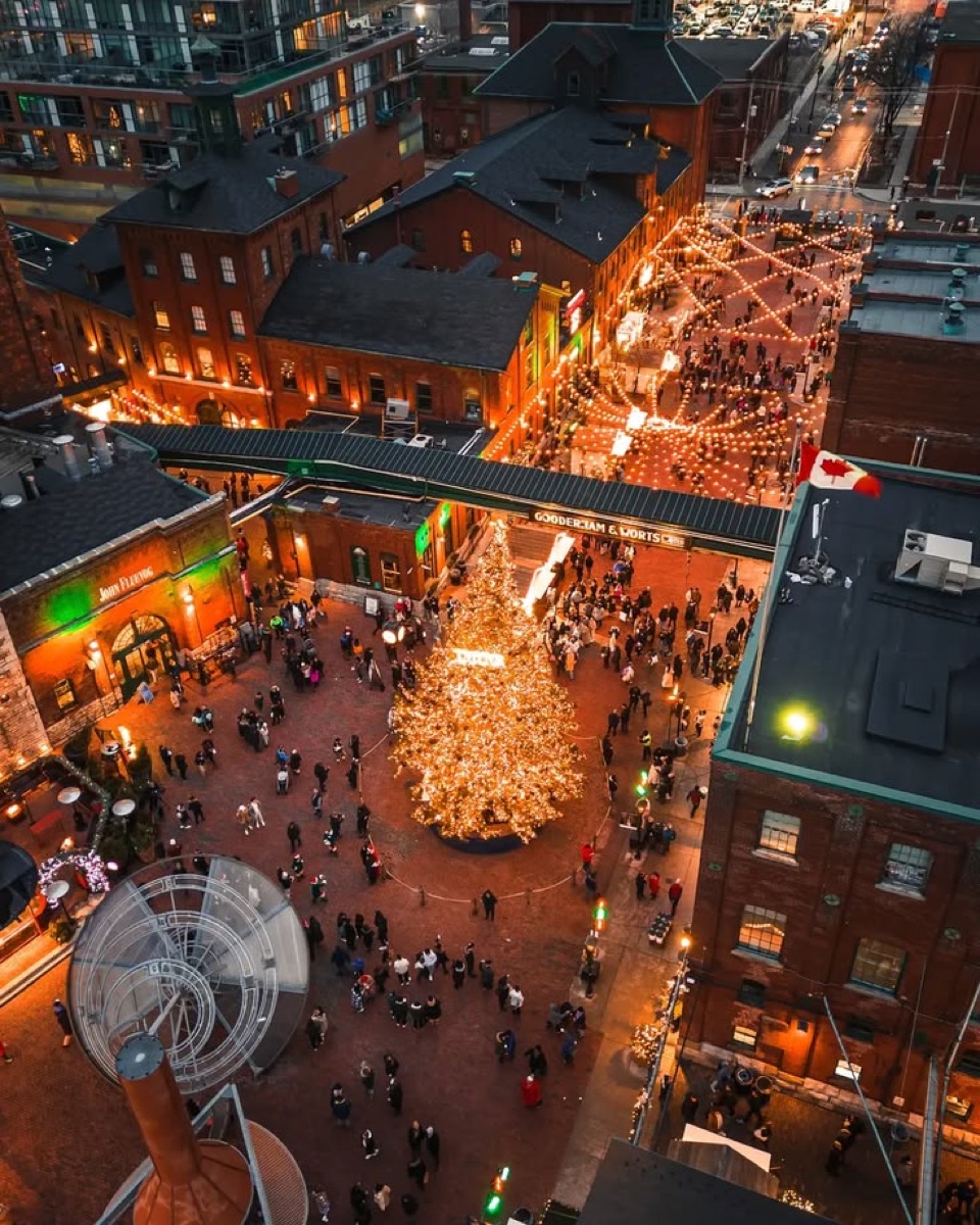 The Distillery District lit up at night with its holiday tree